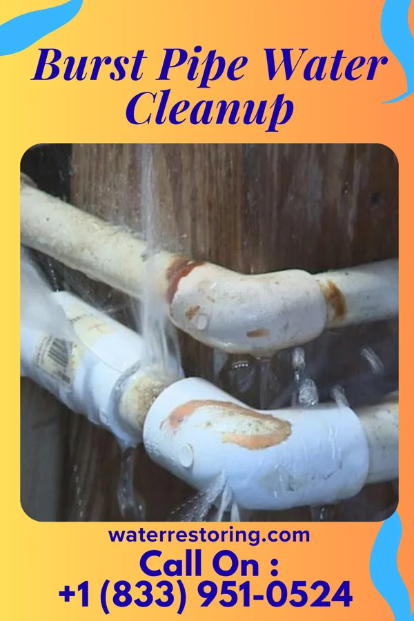 Burst Pipe Water Cleanup in Avalon, PA