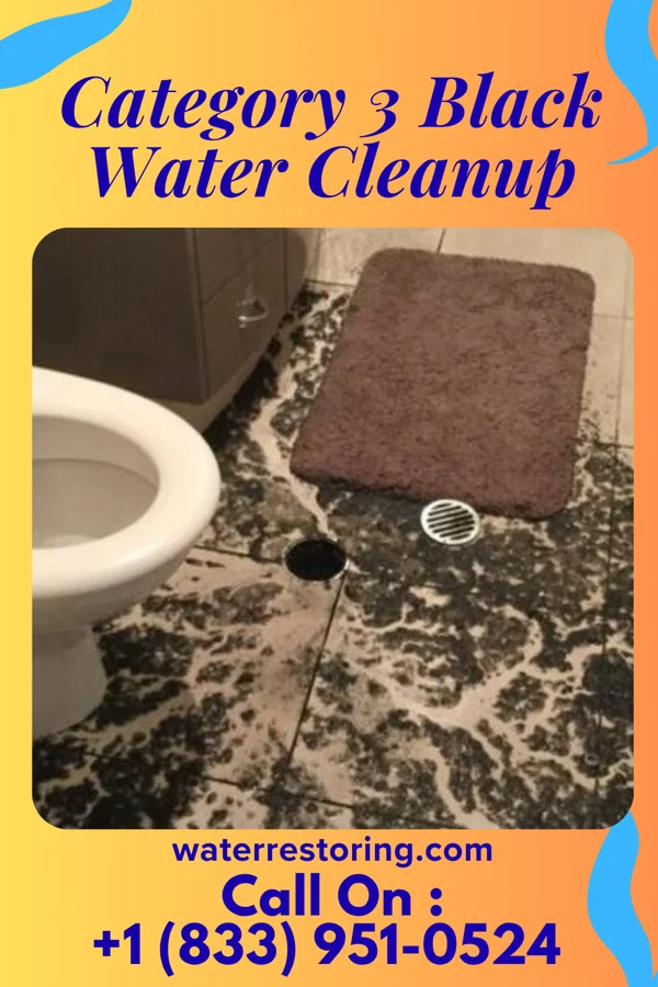 Category 3 Black Water Cleanup in Avalon, PA