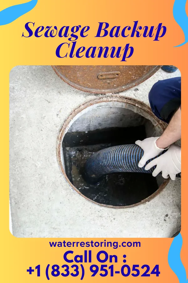 Sewage Backup Cleanup in Avalon, PA