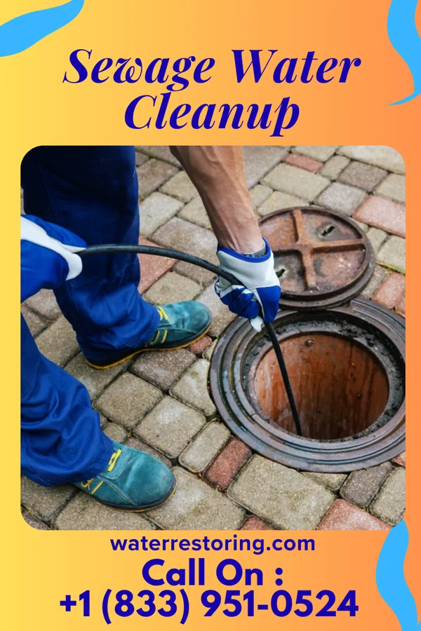 Sewage Water Cleanup in Avalon, PA